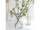 glass bottle "Medicine", clear, small, Ø 7 x h 10cm