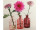 glass bottle "Riga", color, Ø 7 x h 12cm, set of 3 pcs., pink-mix