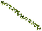 guirlande de houblon "Noble", vert, l 180cm