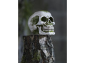 Totenkopf mit Moos, creme/grün, 10,5 x 15,5 x H 12cm