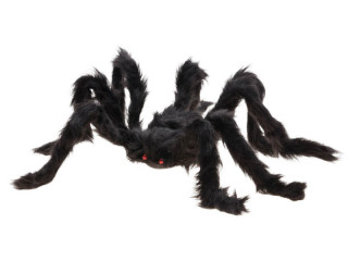 araignée poilue XL, noir, Ø 50cm