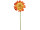 gerbera XL orange