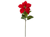 poinsettia "velvet", avec tige, rouge, h 55cm