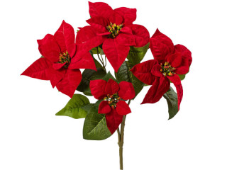 bouquet de poinsettias "velvet", rouge, h 45cm, 5 fleurs