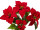 bouquet de poinsettias "velvet", rouge, h 45cm, 5 fleurs