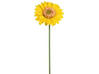 Gerbera 90cm gelb