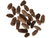 pine cones elongated 200g, natural, approx. 18 - 20...