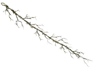 guirlande de branches "twig", avec mousse, naturel/vert, l 20 x L 128cm