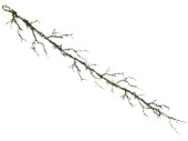 twig garland “twig”, with moss,...
