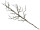 Zweig XL "Twig", mit Moos, natur/grün, B 40 x L 120cm