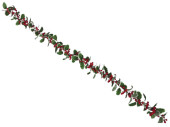 Ilexgirlande mit Beeren "Holly",...