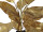tree "magnolia deluxe”, in pot, gold/copper, Ø 30 x h 80cm