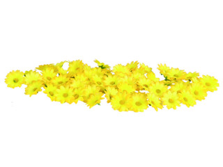 Streublüten Ø 3,5cm 60 St. gelb