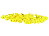 scatter blossoms Ø 3,5cm 60-pieces yellow