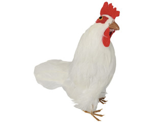 poule "natural", petite, blanche, h 20cm, l 20cm, p 10cm