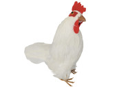 Huhn "Natural", klein, weiss, H 20cm, B 20cm, T...