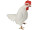 chicken “natural”, large, white, h 28cm, w 26cm, d 13cm