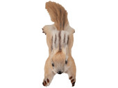 Eichhörnchen "Skip", natur, springend, 12 x 15 x L 50cm