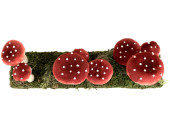 groupe de champignons sur panneau de mousse, 44 x 11 x h 16cm, ail mouche