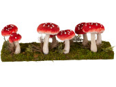mushroom group on moss plate, 44 x 11 x h 16cm, fly agaric