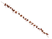 pine cone garland with berries, brown/red, l 140cm