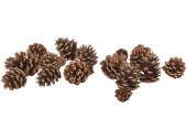 Tannenzapfen natur, braun, 15 Stück 4 - 13cm