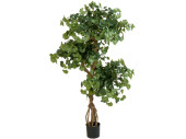 ginkgo tree B1, green, potted, h 145 cm, flame retardant