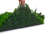 panneau de plantes "Living-Wall Farn-Mix" vert,100 x 100cm, B1 UV, ignifugé, protégé contre les UV