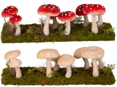 groupe de champignons sur panneau de mousse, 44 x 11 x h...
