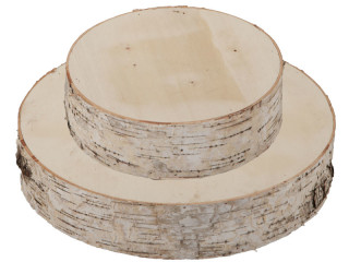 birch wood tree slice, thick, natural, 6cm thick, var. diameters
