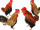 Hahn/Huhn "Natural" bunt, versch. Grössen