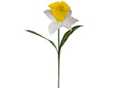 Narzisse XL, gelb-weiss, H 105cm, Blüte Ø 40cm