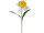 narcissus XL, yellow-white, h 105cm, flower Ø 40cm
