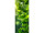 textile banner “gingko leaves”, green, 75 x 180cm, tubular seam top+bottom