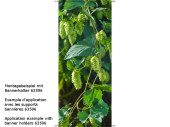Textilbanner "Hopfen", grün, 75 x 180cm,...