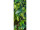 bannière textile "houblon", vert, 75 x 180cm, coutures tubulaires en haut et en bas