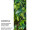 bannière textile "houblon", vert, 75 x 180cm, coutures tubulaires en haut et en bas