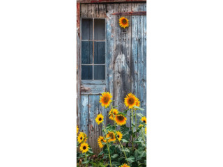 Textilbanner "Sonnenblumen/Tür", grün/gelb/grau, 75 x 180cm, Schlauchnaht oben+unten