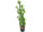 cactus "Euphorbia Roylena", vert, h 118cm