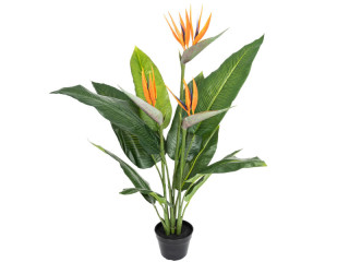 strelitzia with 3 flowers, in pot, green/orange, h 90cm, UV-resistant