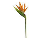 strelitzia, 1 fleur, vert/orange, l 102cm