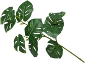 branche de philodendron, 10 feuilles, vert, h 70cm