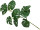 Philodendron-Zweig, 10 Blätter, grün, H 70cm
