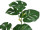 Philodendron-Zweig, 10 Blätter, grün, H 70cm