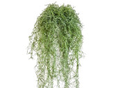 cintre buisson "cheveux longs", B1, vert herbe,...
