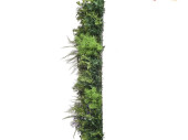 panneau Living-Wall "mélange de plantes", B1, protégé contre les UV, vert/violet,100 x 100cm, ignifuge
