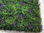 panneau Living-Wall "mélange de plantes", B1, protégé contre les UV, vert/violet,100 x 100cm, ignifuge