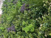 panneau Living-Wall "mélange de plantes", B1, protégé contre les UV, vert/violet,100 x 100cm, ignifuge
