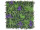 panneau Living-Wall "mélange de plantes", B1, protégé contre les UV, vert/violet,100 x 100cm, ignifuge