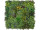 Living-Wall Pflanz-Mix, B1, UV-geschützt, grün,100 x 100cm,schwer entflammbar